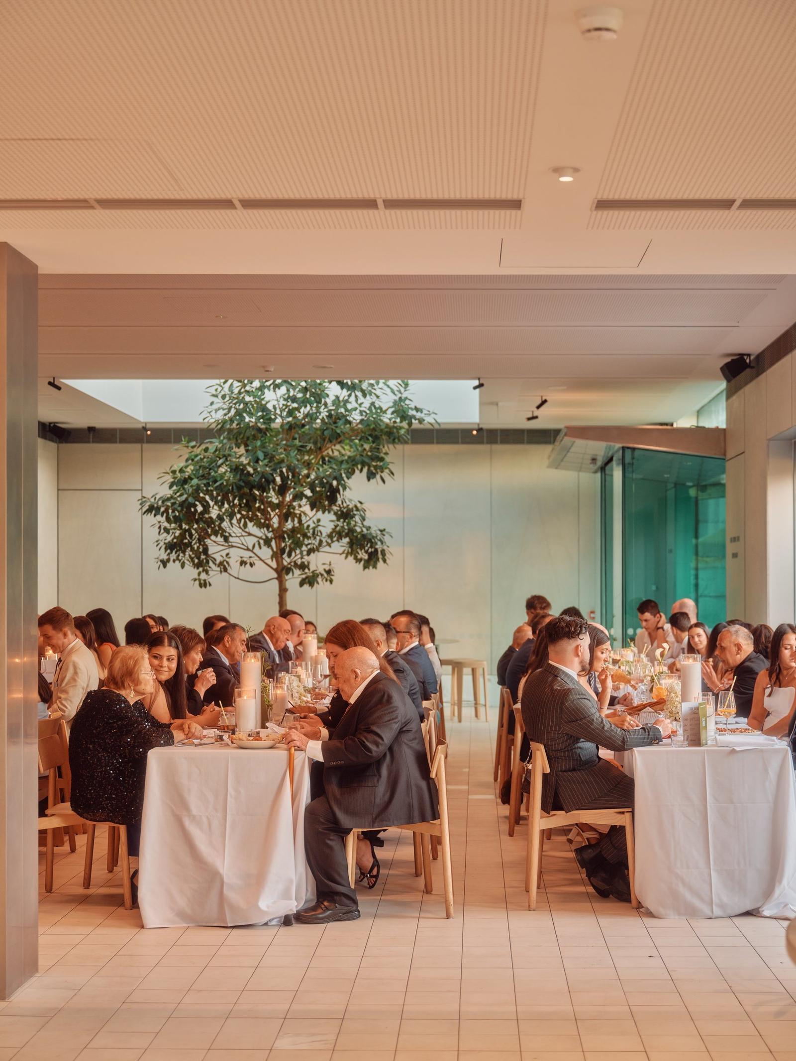 A seated dinner event filling the tree atrium dining room